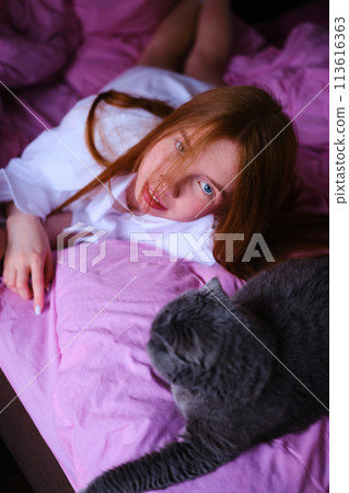 pretty young ginger woman with her gray british cat in pink bed at home girl in white shirt look at camera pretty young ginger woman with her gray british cat in pink bed at home girl in white shirt look at camera 113616363
