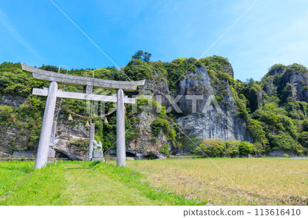 Spring Aonodomon, Kewarabi Shrine, Nakatsu City, Oita Prefecture Spring Aonodomon, Kewarabi Shrine, Nakatsu City, Oita Prefecture 113616410