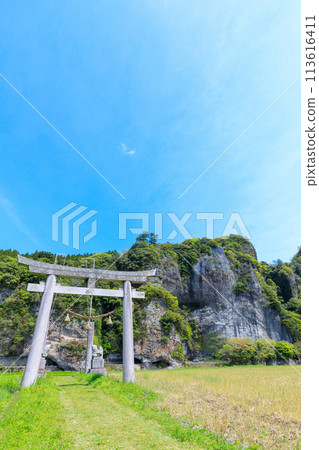 Spring Aonodomon, Kewarabi Shrine, Nakatsu City, Oita Prefecture Spring Aonodomon, Kewarabi Shrine, Nakatsu City, Oita Prefecture 113616411