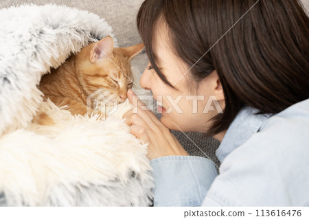 Woman touching the nose of a brown tabby kitten Woman touching the nose of a brown tabby kitten 113616476