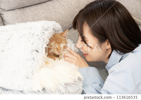 觸摸棕色虎斑小貓臉頰的女人 觸摸棕色虎斑小貓臉頰的女人 113616535