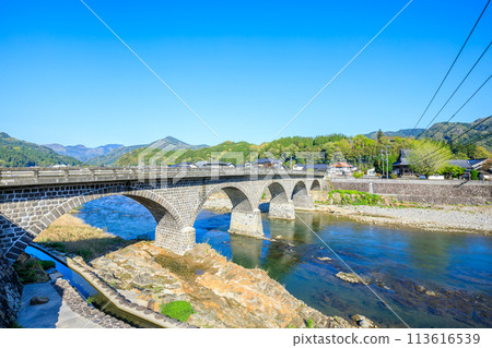 Spring at Umakei Bridge, Nakatsu City, Oita Prefecture 113616539