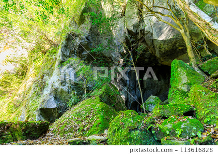 Spring Kamadoga Rock, Kuju District, Oita Prefecture Spring Kamadoga Rock, Kuju District, Oita Prefecture 113616828