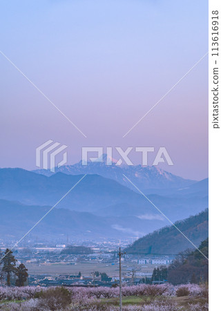 Togakushi mountain range with the Morgenrot and apricot blossoms spreading below [Chikuma City] 113616918
