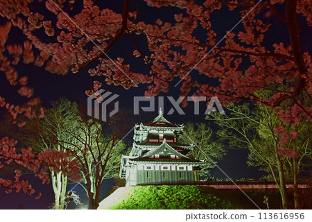 新潟縣日本三大夜櫻,高田城的夜櫻 新潟縣日本三大夜櫻,高田城的夜櫻 113616956