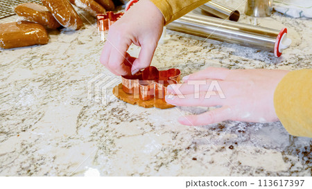 Using various festive cookie cutters, we're cutting out charming gingerbread cookies from the rolled dough on the sleek marble counter, bringing holiday cheer to the modern kitchen. 113617397