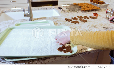 Freshly cut-out gingerbread cookies rest on a baking sheet, lined with parchment paper, awaiting a cool and refreshing chill in the fridge before their delicious transformation in the oven. Freshly cut-out gingerbread cookies rest on a baking sheet, lined with parchment paper, awaiting a cool and refreshing chill in the fridge before their delicious transformation in the oven. 113617400