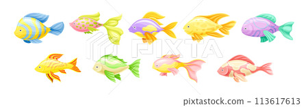 Tropical Fish as Aquarium Sea Pet Vector Set Tropical Fish as Aquarium Sea Pet Vector Set 113617613
