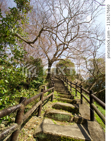 Climbing the stairs in the park 113617660
