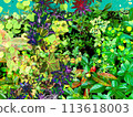 Colorful leaf paradise 113618003