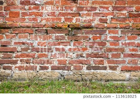 Grungy old red brick wall and grass, background texture 113618025