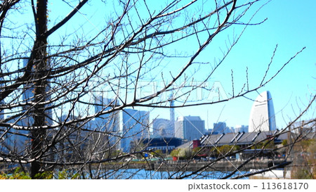 Yokohama City: View of Minato Mirai from Elephant's Trunk 113618170