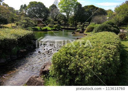 有池塘的日本庭院 有池塘的日本庭院 113618760