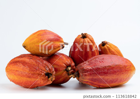 Dark orange color cacao pods 113618842