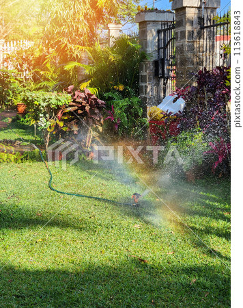 Irrigation grass theme 113618843