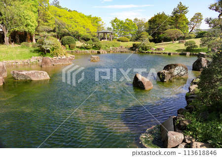 有池塘的日本庭院 113618846