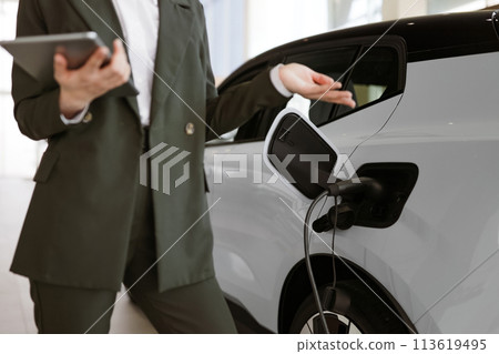 Cropped view of hands of young Caucasian saleswoman, selling electric cars. 113619495