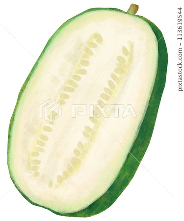 Winter melon cross section cut 113619544