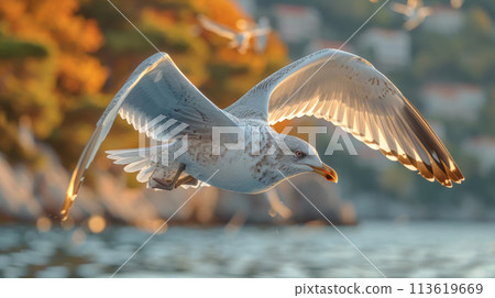 Generative ai illustration of a Yellow legged gull Larus michahellis juvenile bird 113619669