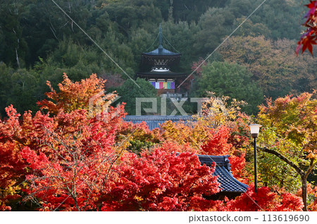 Tahoto Pagoda surrounded by autumn leaves - Eikando Temple in Kyoto with autumn leaves - famous spots for autumn leaves in Kyoto - popular spots in Kyoto in autumn Tahoto Pagoda surrounded by autumn leaves - Eikando Temple in Kyoto with autumn leaves - famous spots for autumn leaves in Kyoto - popular spots in Kyoto in autumn 113619690