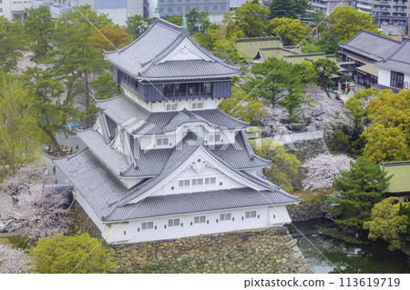 Ogura Castle is a beautiful cherry blossom viewing period 113619719