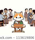 貓咪在午餐時間吃午餐 113619806