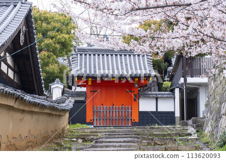 Choan-in Temple and cherry blossoms at Konkai-Komyoji Temple subtemple 113620093