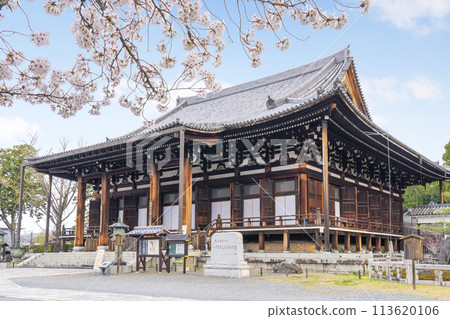 京都的春天,黑谷,孔海光明寺,櫻花和禦榮堂 京都的春天,黑谷,孔海光明寺,櫻花和禦榮堂 113620106