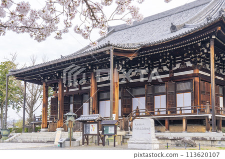 京都的春天,黑谷,孔海光明寺,櫻花和禦榮堂 京都的春天,黑谷,孔海光明寺,櫻花和禦榮堂 113620107