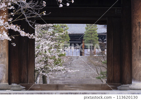 Kyoto Kurodani Konkai Komyoji Temple, mountain gate and cherry blossoms Kyoto Kurodani Konkai Komyoji Temple, mountain gate and cherry blossoms 113620130