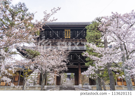 Kyoto Kurodani Konkai Komyoji Temple, mountain gate and cherry blossoms Kyoto Kurodani Konkai Komyoji Temple, mountain gate and cherry blossoms 113620131