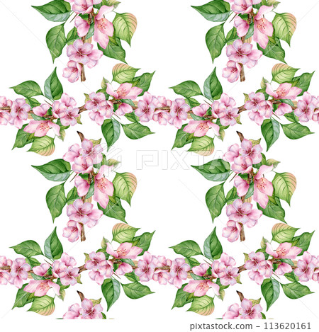 Blooming branch of almond tree with pink flowers seamless pattern watercolor isolated on white. Blossom fruit tree branch hand drawn. Design element for packaging, backdrop, wallpaper, textile 113620161