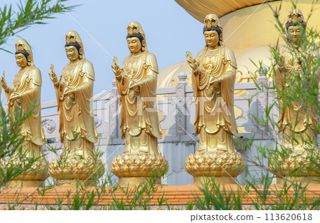 Golden statue goddess of Mercy Guanyin or Quan Yin statue at Fo Guang Shan Thaihua Temple. Golden statue goddess of Mercy Guanyin or Quan Yin statue at Fo Guang Shan Thaihua Temple. 113620618