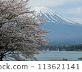 Cherry blossoms at Mt. Kawaguchiko and Mount Fuji 113621141