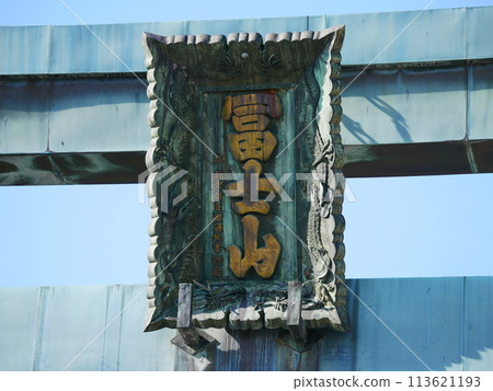 Golden Torii Gate of Mount Fuji 113621193