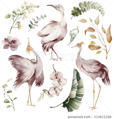 Pink Ibis birds. Watercolor elements of tropical birds, flowers and plants. Banana plants and orchid, Australian flamingo on a white background. Illustrations of wildlife animals and plants. 113621200