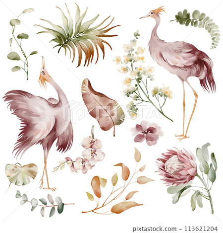Pink Ibis birds. Watercolor elements of tropical birds, flowers and plants. Banana plants and orchid, Australian flamingo on a white background. Illustrations of wildlife animals and plants. 113621204