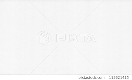 具有時尚浮雕紋理的白色水彩紙,可用作插圖背景 具有時尚浮雕紋理的白色水彩紙,可用作插圖背景 113621415