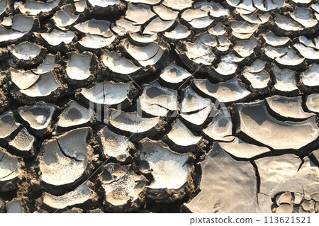 crack paddy field on ground in dry season 113621521