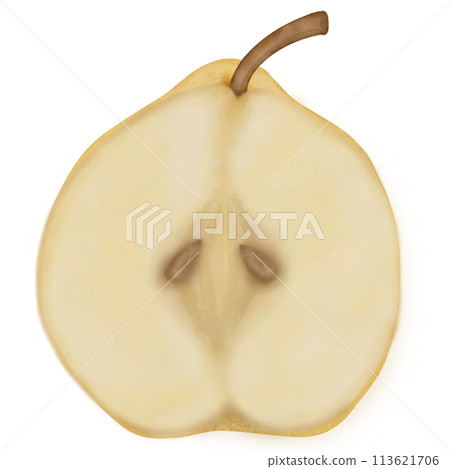 Pear, hand drawn style catoon set ,watercolor paint. Pear, hand drawn style catoon set ,watercolor paint. 113621706