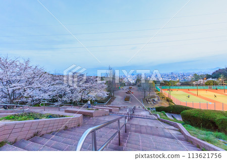 Spring 2024: Hiroshima cityscape as seen from Ryuo Park with cherry blossoms in bloom Spring 2024: Hiroshima cityscape as seen from Ryuo Park with cherry blossoms in bloom 113621756