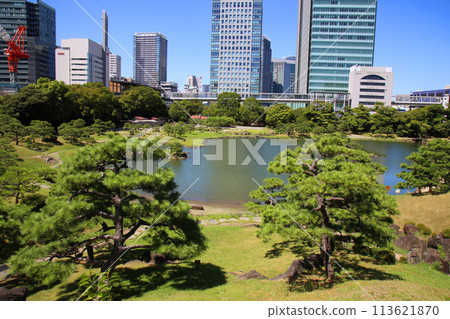 芝芝前花園 芝芝前花園 113621870