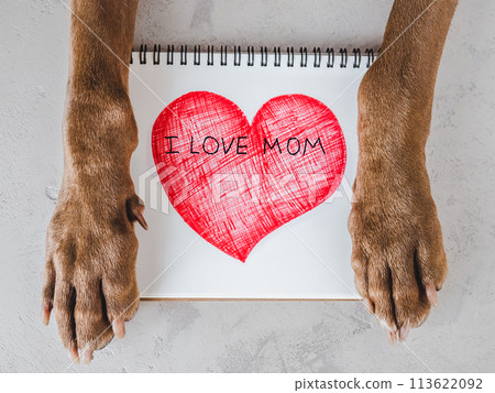 Dog paws and a card with words of love for Mom Dog paws and a card with words of love for Mom 113622092