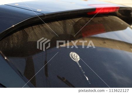 汽車後窗上有鳥糞 113622127