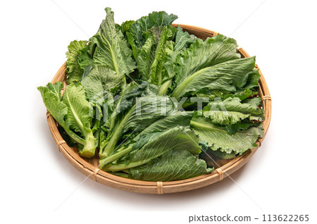 秋田縣福立蔬菜 秋田縣福立蔬菜 113622265