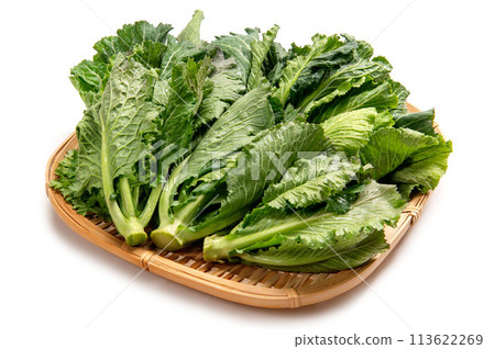 秋田縣福立蔬菜 113622269