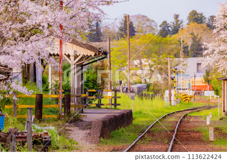 千葉的小湊鐵道和春天的櫻花 - 復古車站 113622424
