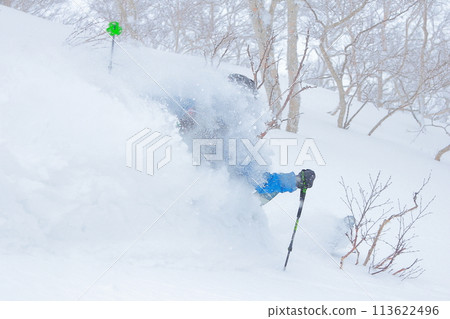 野外滑雪 113622496