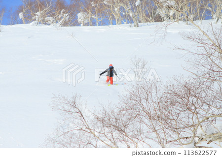 野外滑雪 113622577