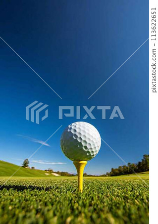 Golf ball and golf course 113622651
